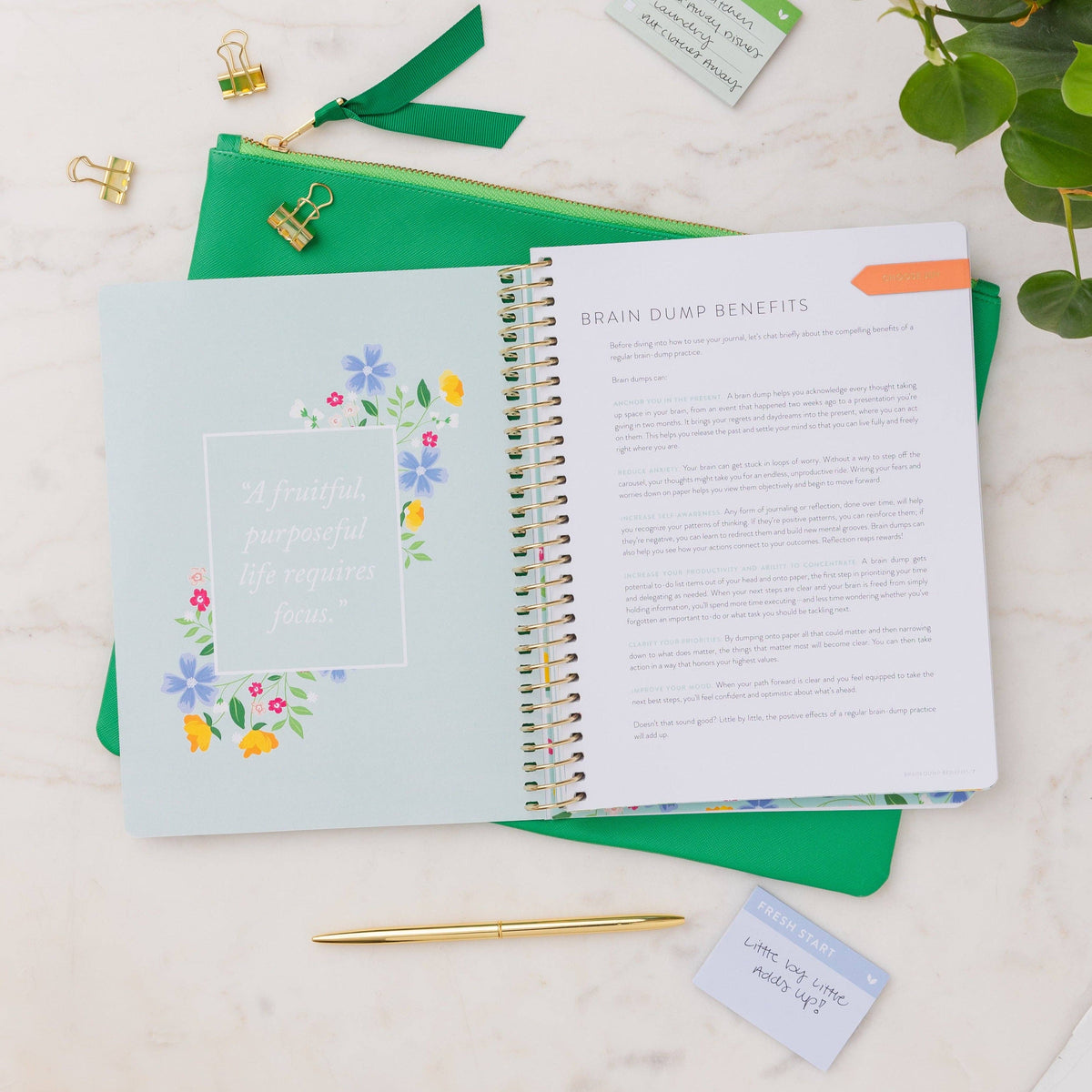Refresh Brain Dump Journal | Gold Stripes