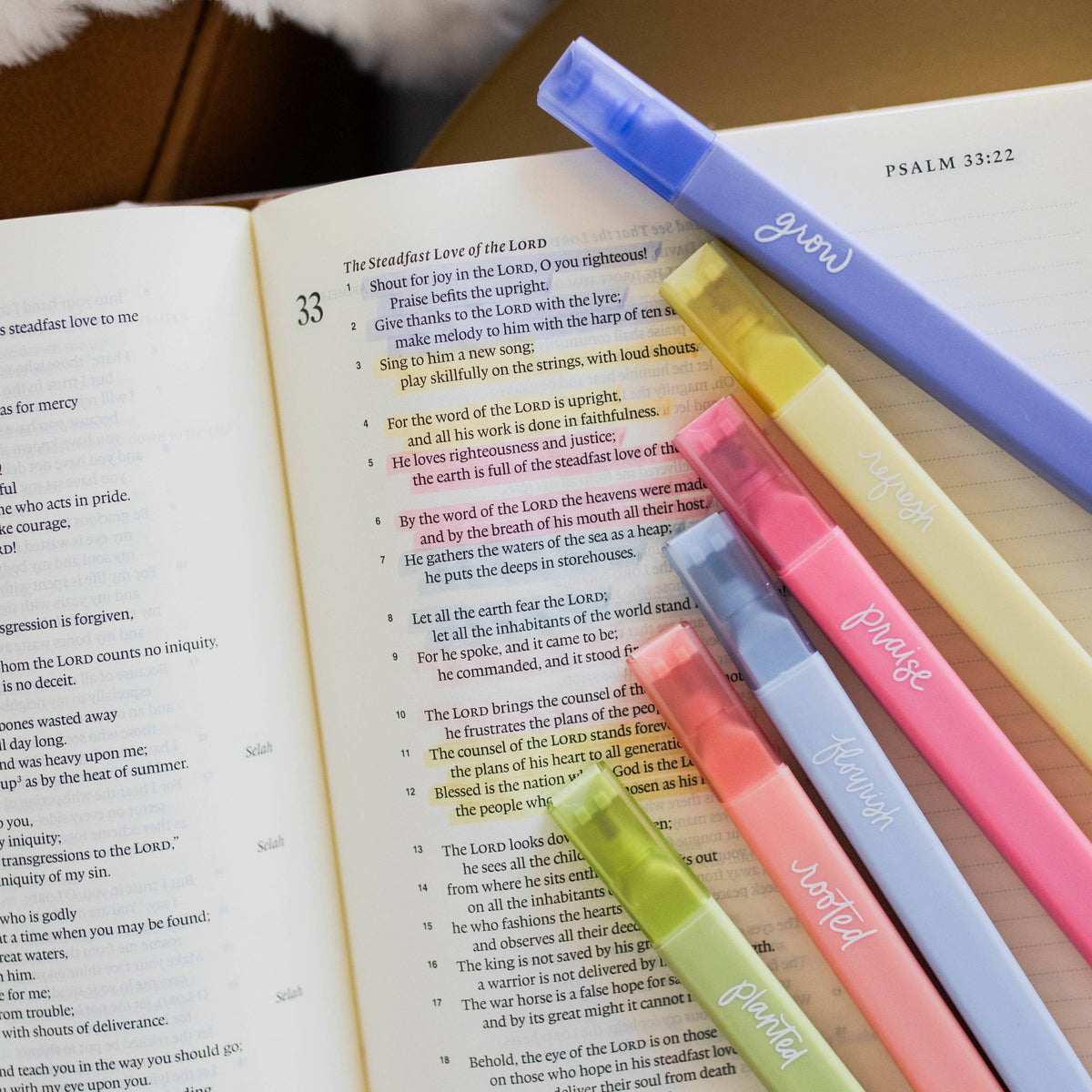 Family Workbook Bundle