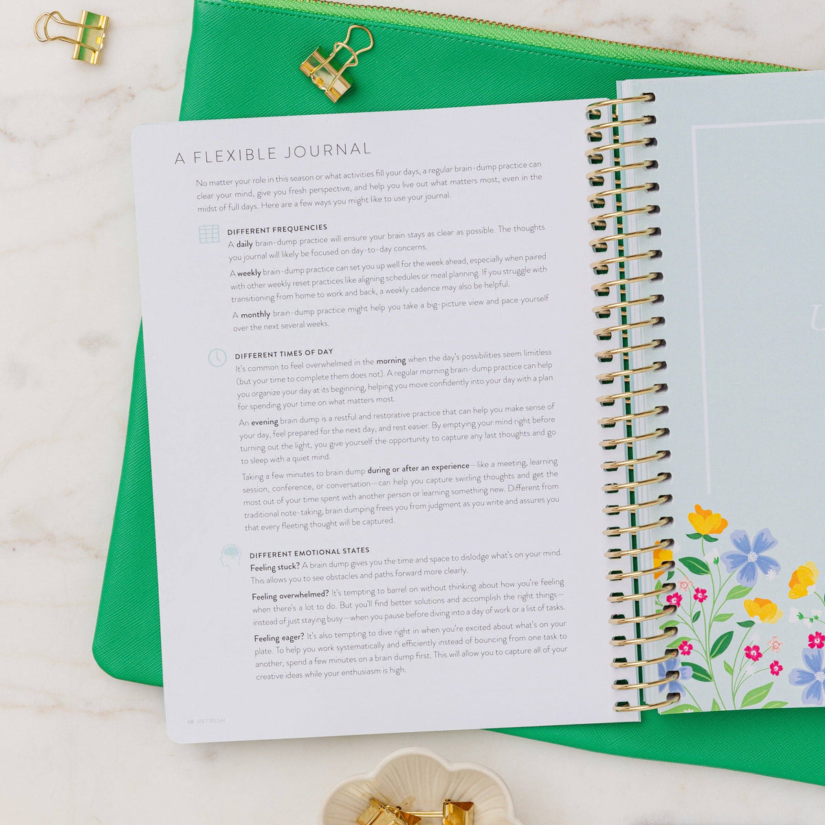 Refresh Brain Dump Journal | Gold Stripes